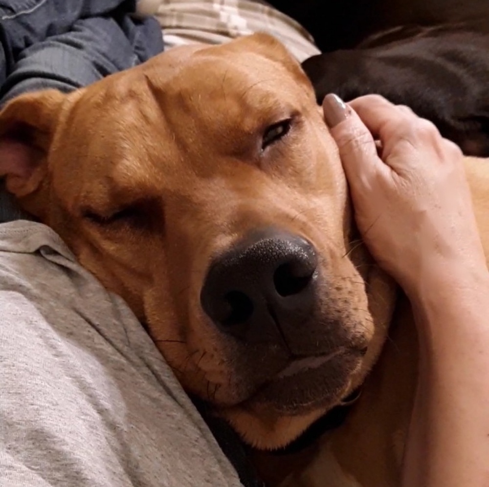 Meet your Posher, Rhonda